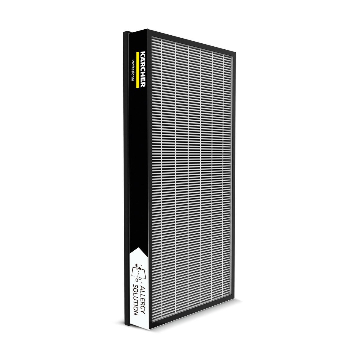 Karcher AF 100 Alerji Filtre Seti - 2 adet