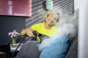 Karcher Buharlı Düzleştirici