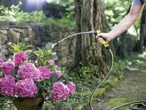 Karcher Performance Plus 3/4'' 50 metre Bahçe Su Hortumu