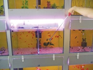 Yengeç Çok Amaçlı Tutucu Aparat 92 cm