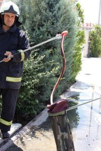 Yengeç Yılan ve Kedi Kilitleme Torbası