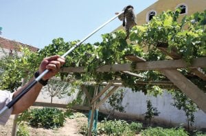 Yengeç Kedi Tutma Aparatı 167 cm