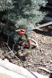 Yengeç Yılan Tutma Aparatı 94 cm