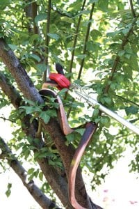 Yengeç Yılan Tutma Aparatı 167 cm